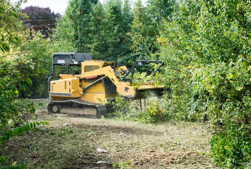 Brush Clearing Service in Katy, TX